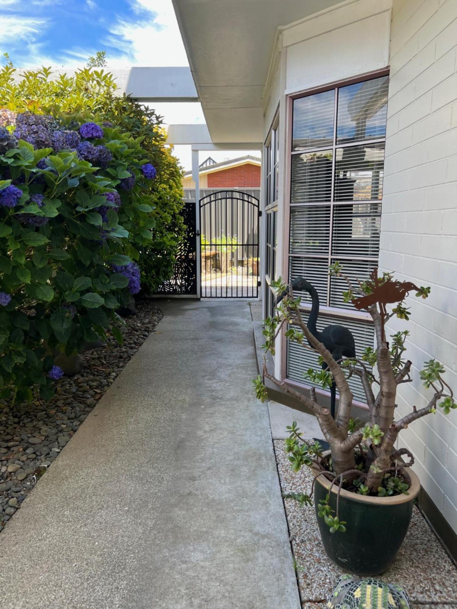 Carly'S Place Rotorua Exterior foto